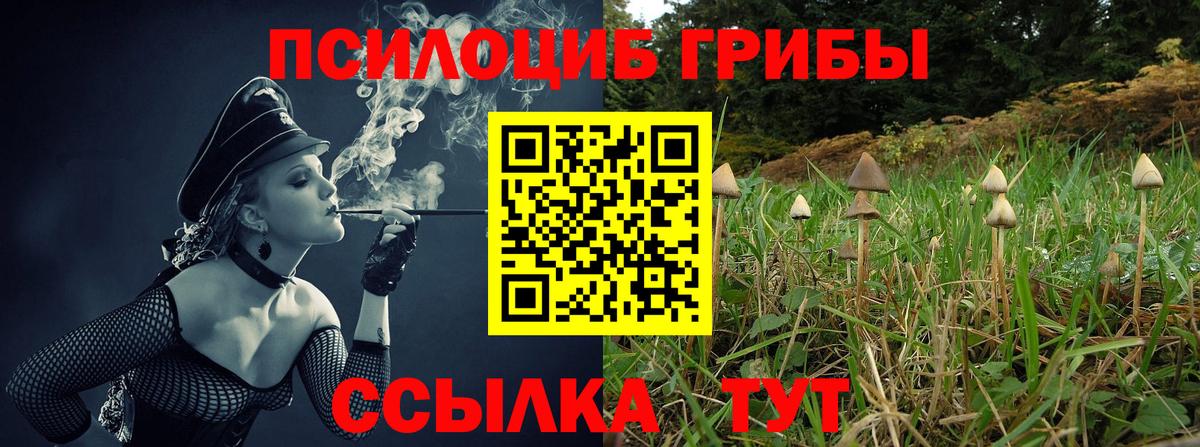 Псилоцибиновые грибы GOLDEN TEACHER Тобольск