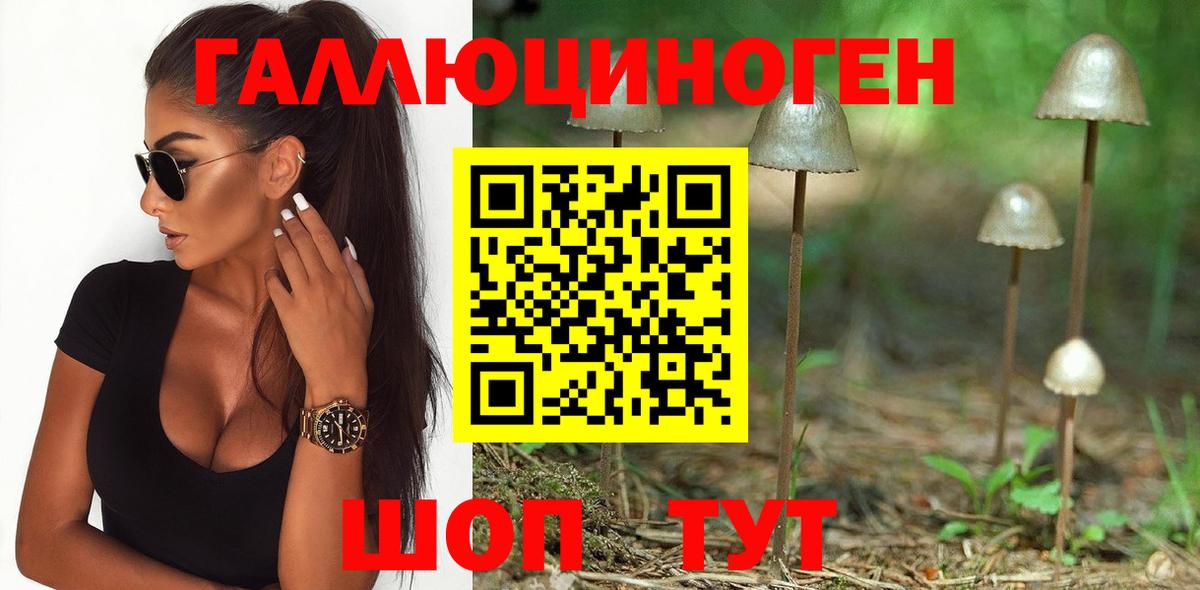 Псилоцибиновые грибы MAGIC MUSHROOMS  Галлюциногенные грибы Cubensis  Вход с VPN  Тобольск 